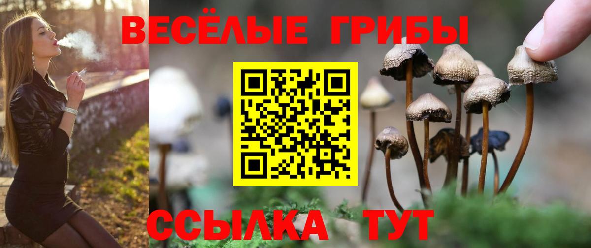 Мелеуз  Псилоцибиновые грибы Magic Shrooms  Вход с VPN  Галлюциногенные грибы Psilocybine cubensis 